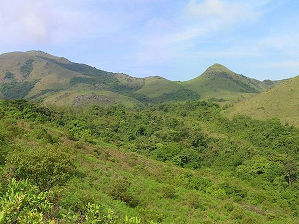 2. కూర్గ్