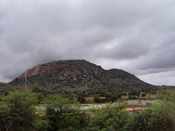 3. బిలికల్ రంగనాథ స్వామి బెట్ట