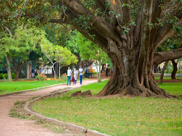 3. ఉద్యానవనాలు