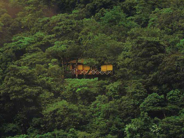 4. వైత్రి - కేరళ