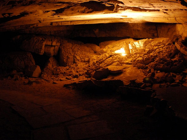 7. పది లక్షల క్రితం నాటివి