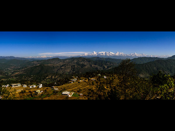 7. కుందేలు చర్మంతో