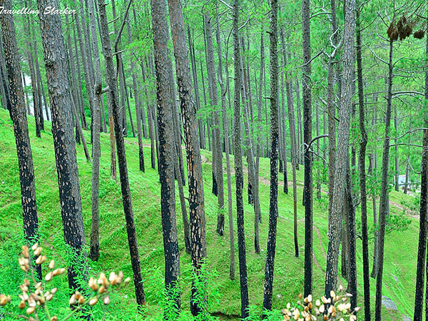 9. అభయారణ్యాలు