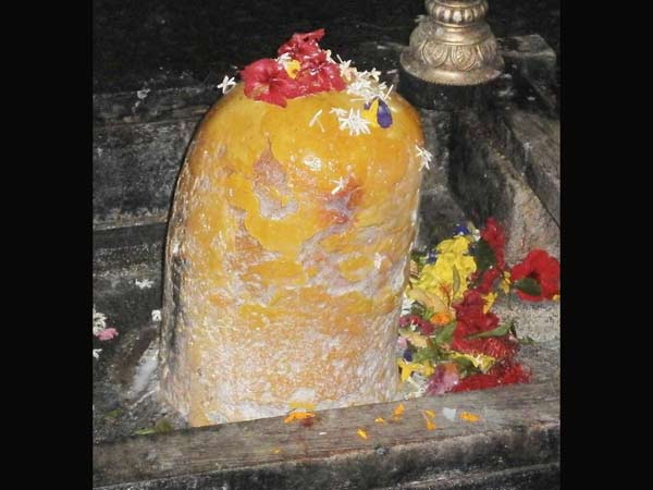 10. శివుడు కోడి పుంజు రూపంలో