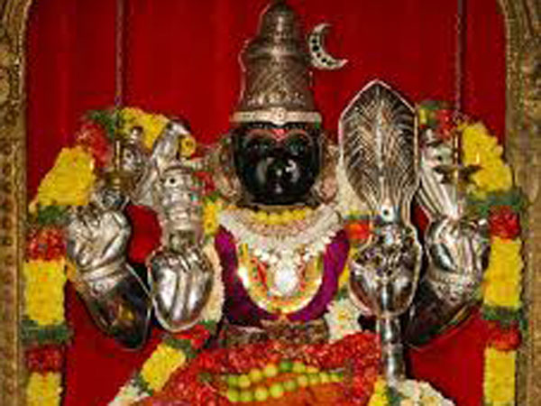 13. 107 దేవతా మూర్తుల విగ్రహాలు