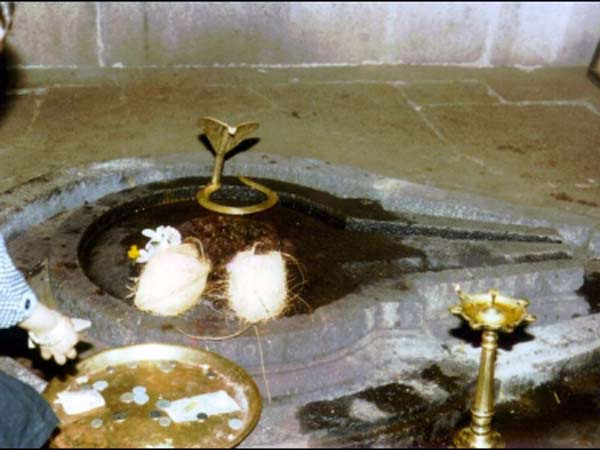 14. వేలి ముద్రలు