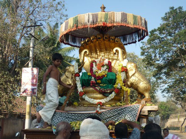 18. పరిమాణంలో చిన్నదిగా