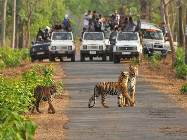 2. మదుమలై