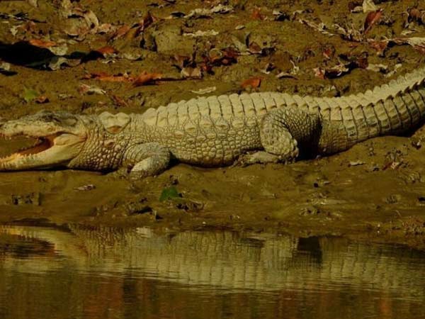 20 ఎలా వెళ్లాలి