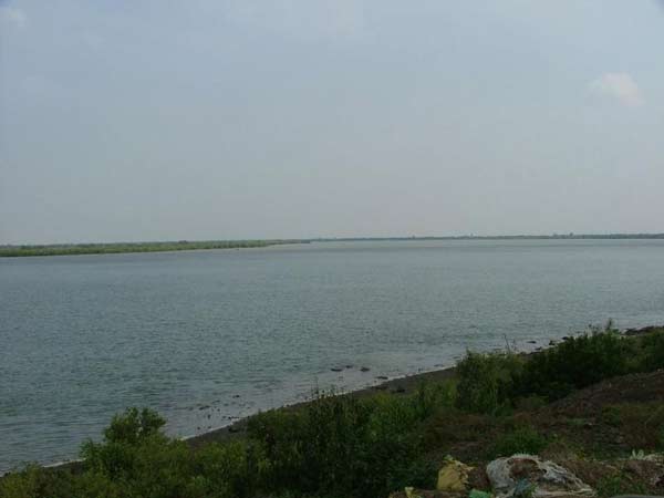  20. నీలి వర్ణంలో మెరిసిపోతూ