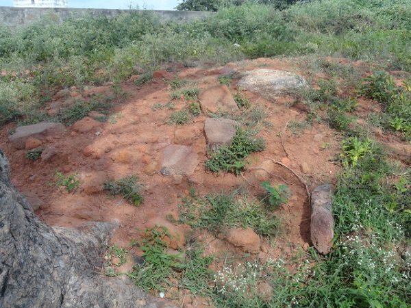 3 చదరపు కిలోమీటర్ల పరిధిలో