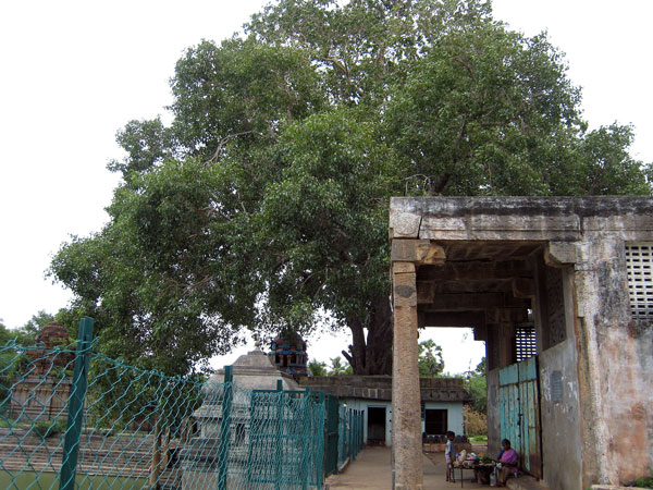 4. రెండు కన్నుల నుంచి