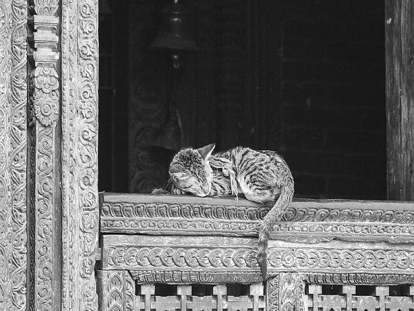 6. విశ్వం నీట మునిగి పోయింది