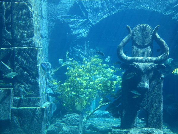 6. ద్వారకలో