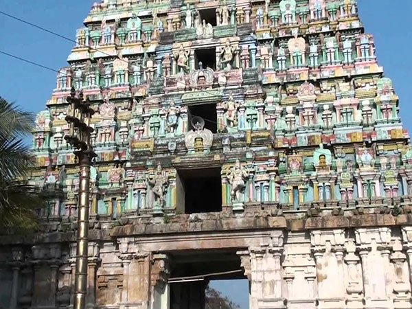 మంచి భాగస్వామి దొరకాలని