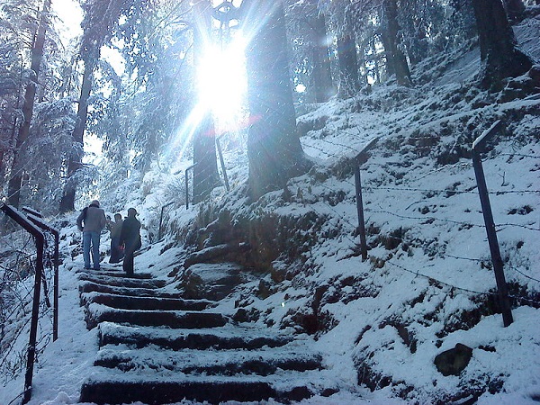 1.ఈ ఏడాది ఎప్పుడు