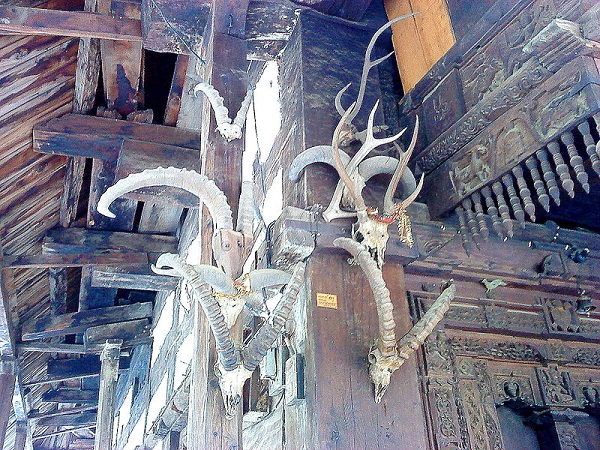 3. ఎందుకు ఈ ఉత్సవాన్ని జరుపుతారు