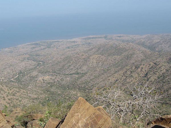 2. దత్తాత్రేయుడు 