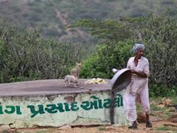 7.ట్రెక్కింగ్ ప్రియులను ఆకర్షిస్తోంది.