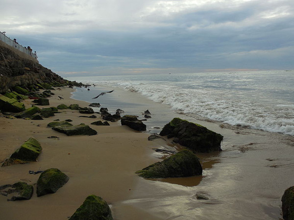 సముద్ర తీరంలో