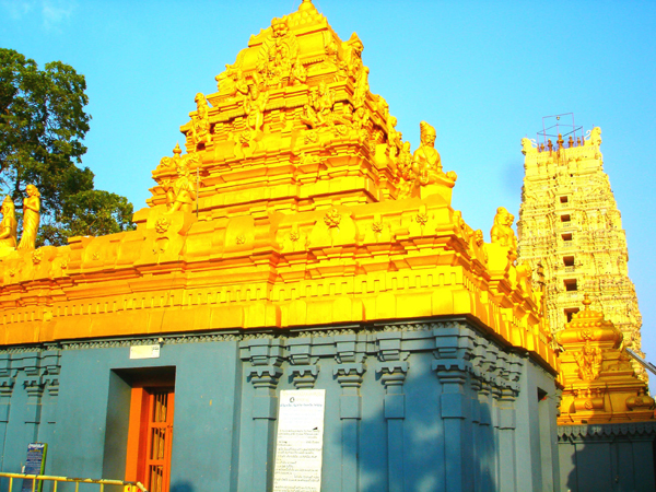 పంచారామాల్లో విశిష్టమైనది