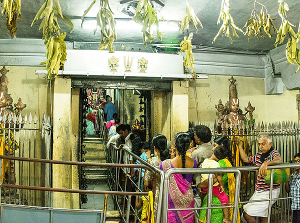 వరదరాజ పెరుమాల్ దేవాలయం 