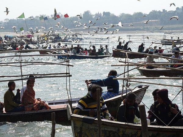 పల్లకి నుంచి మాయమై పోతుంది