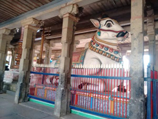 మధ్యార్జునం