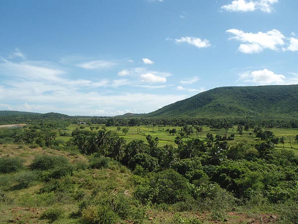 మాంగళ్యం