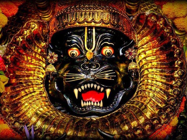 దేశంలో ఎక్కడా మనకు కనిపించడు