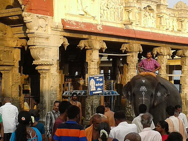 వదిలి వెళ్లిపోయారు