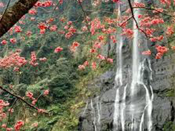 మహాభారతం రచించింది ఇక్కడే