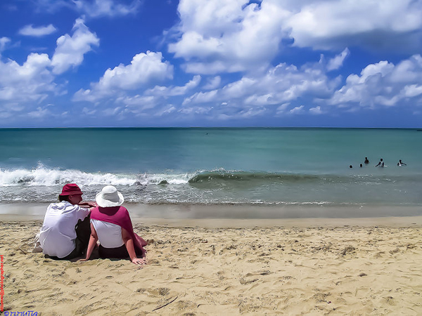 ధనుష్కోటి బీచ్