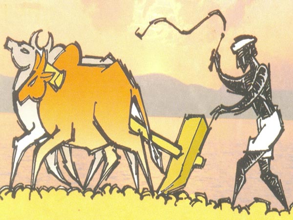 పొలాన్ని దున్నుతుంటే