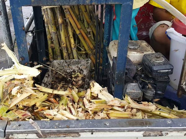 చెరుకు పిప్పి