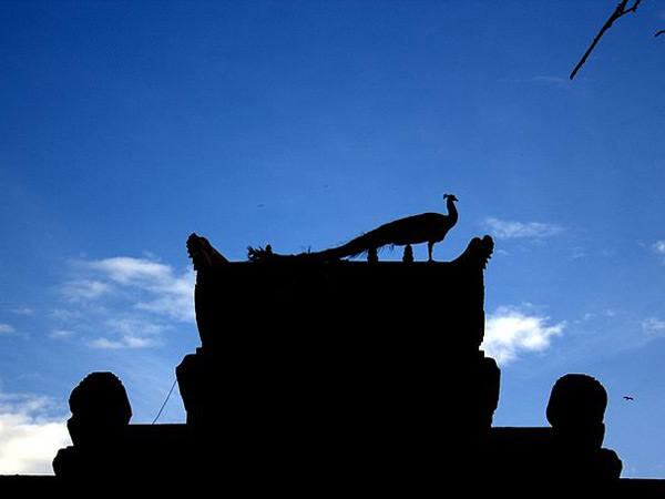 తొమ్మిది అంతస్తుల రాజగోపురం