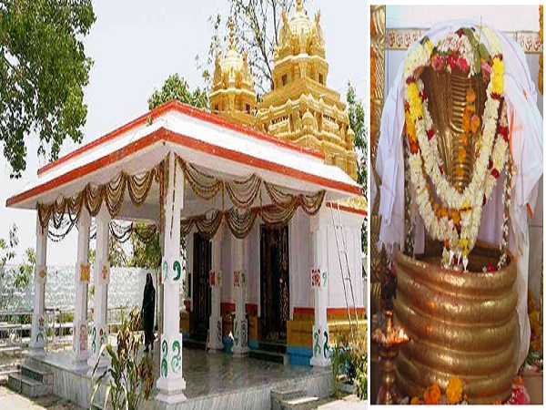 ఆత్మహుతికి పాల్పడుతుంది