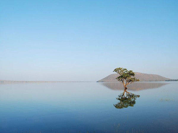 పాకాల చెరువు