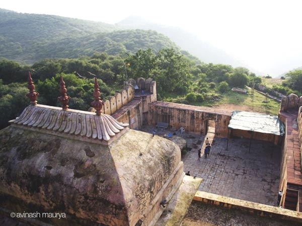 2. ప్రత్యేకమైన వృక్షజాలం