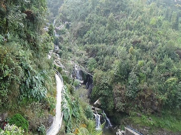 రాక్ గార్డెన్