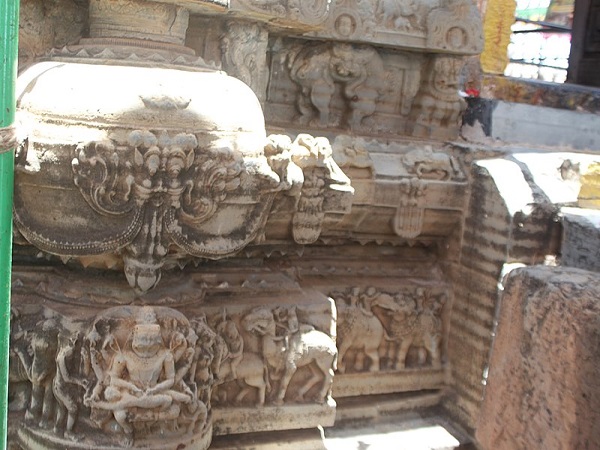 అమరత్వం పొందుతారు. 