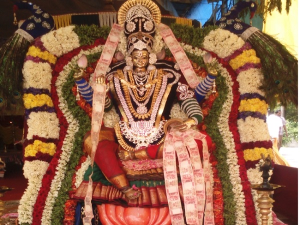 ప్రత్యేకమైన లైటింగ్ 