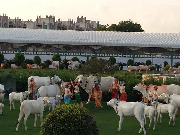 జన్మాష్టమి వేడుకలు