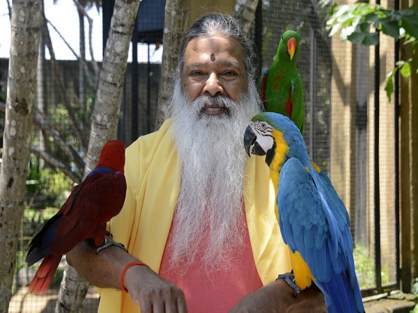 2000 చిలుకమ్మలు ఒకే చోట