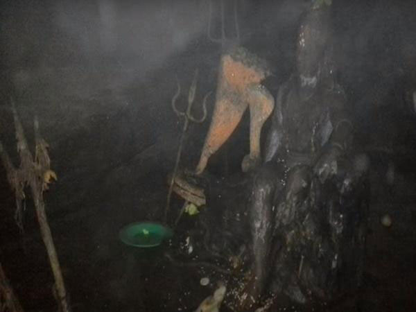 శ్రావణ మాసం, పంచమర్హి