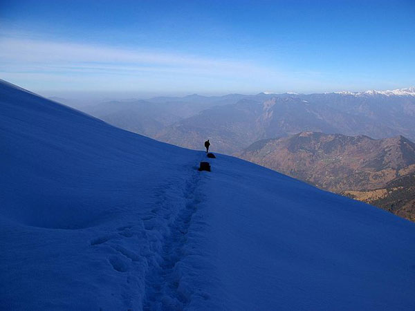 ఎడమ వైపునకు వాలి