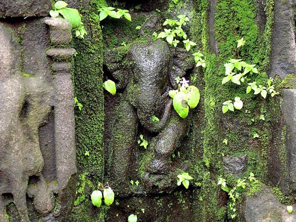 కేదారేశ్వర గుహ, హరిశ్చంద ఘడ్