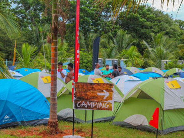 అడవిలోనే నిద్ర