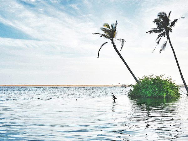 పొవ్వార్