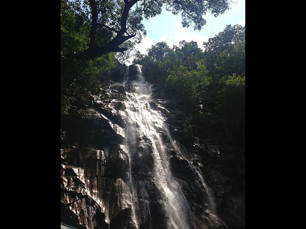 శ్రావణ మాసం, పంచమర్హి